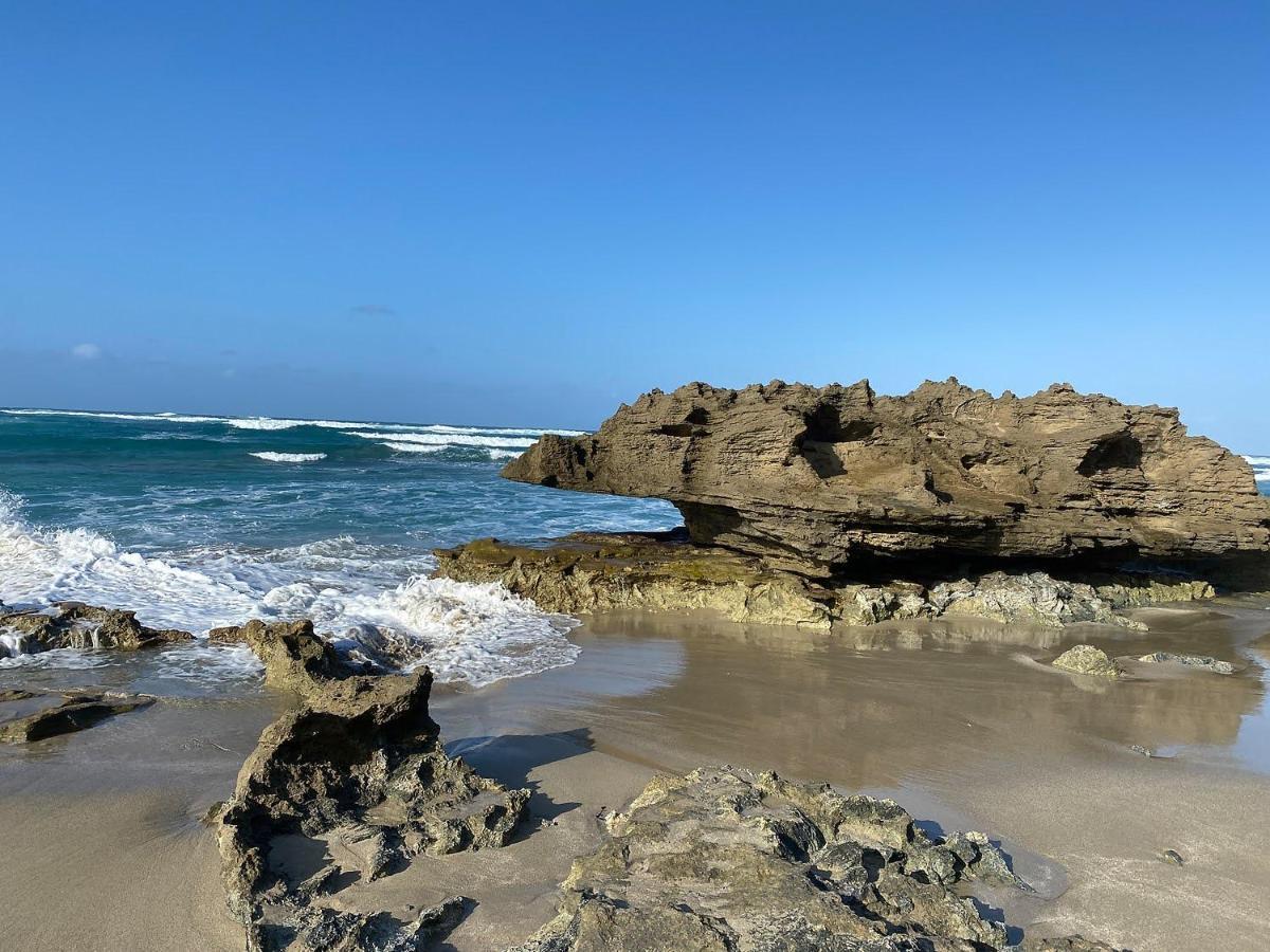 Cabarete Beachfront Condos At Nanny Estate C-5 Экстерьер фото